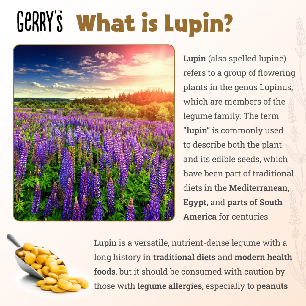 what-is-lupin