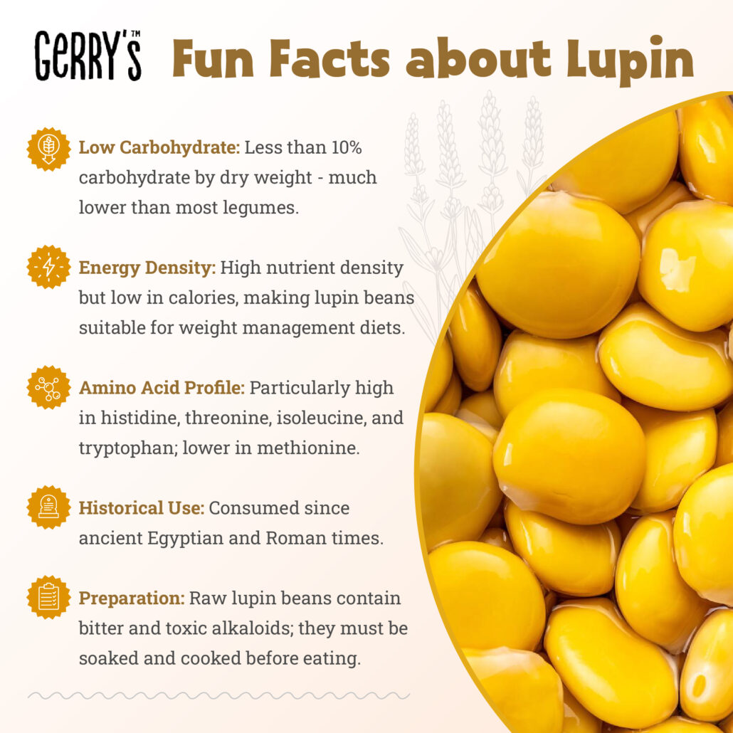 fun-facts-lupin